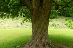 UrlaubBadDriburg2016 (25)